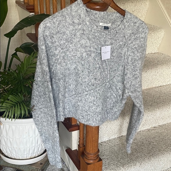 American Eagle Outfitters Sweaters - American Eagle Cozy Coquette Cropped Holiday Sweater